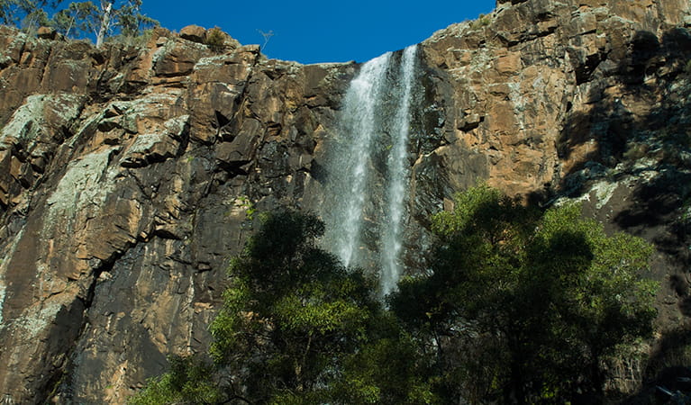 Federal Falls waterfall in Mount Canobolas State Conservation Area. Photo credit: Steve Woodhall