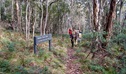 Nature walking track, Mount Canobolas State Conservation Area. Photo: Boris Hlavica