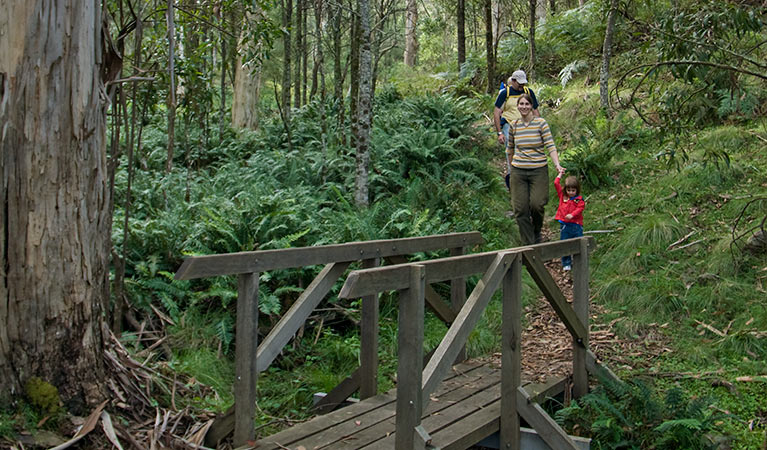 Nature walking track, Mount Canobolas State Conservation Area. Photo: Boris Hlavica