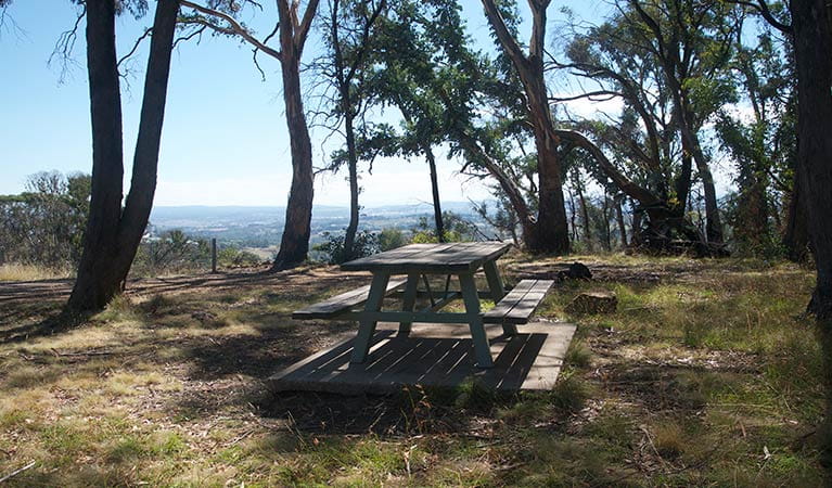 Picnic table set in bushland of Mount Canobolas State Conservation Area, with views of Orange in the distance.  Photo: Steven Woodhall/OEH