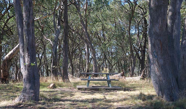 Wide view of picnic table among bushland including red stringybark and peppermint trees. Photo: Steven Woodhall/OEH