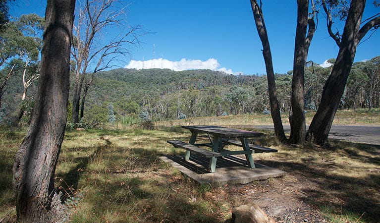 Picnic table set beneath the shade of trees, with bushland and mountain views. Photo: Steven Woodhall/OEH