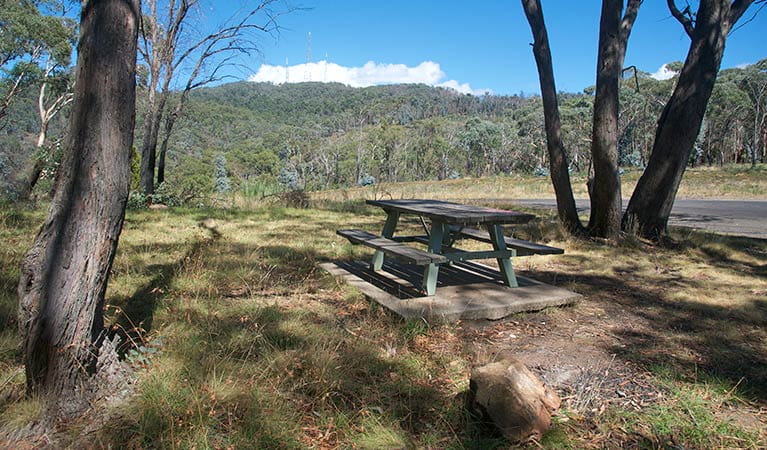Orange View picnic area, Mount Canobolas State Conservation Area. Photo: Steve Woodhall &copy; DPIE
