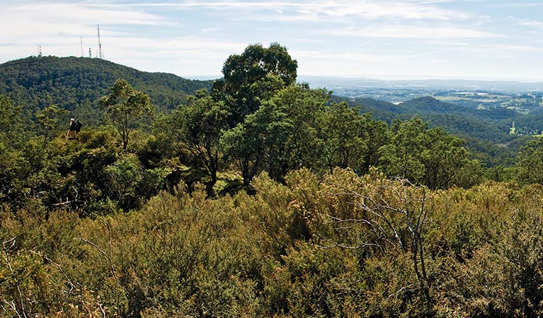 Views towards Mount Canobolas, Mount Canobolas State Conservation Area. Photo credit: Boris Hlavica &copy; DPIE