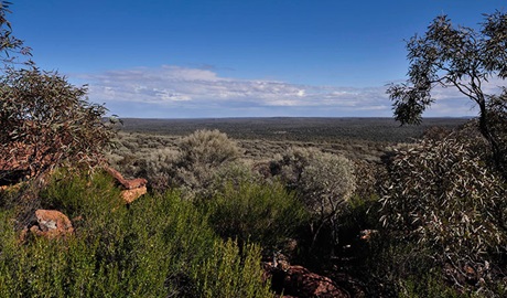 Art site walk, Mount Grenfell Historic Site. Photo: Jenna Hore