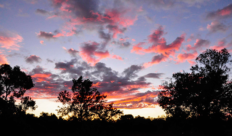 Mount Grenfell Historic Site. Photo: Jenna Hore