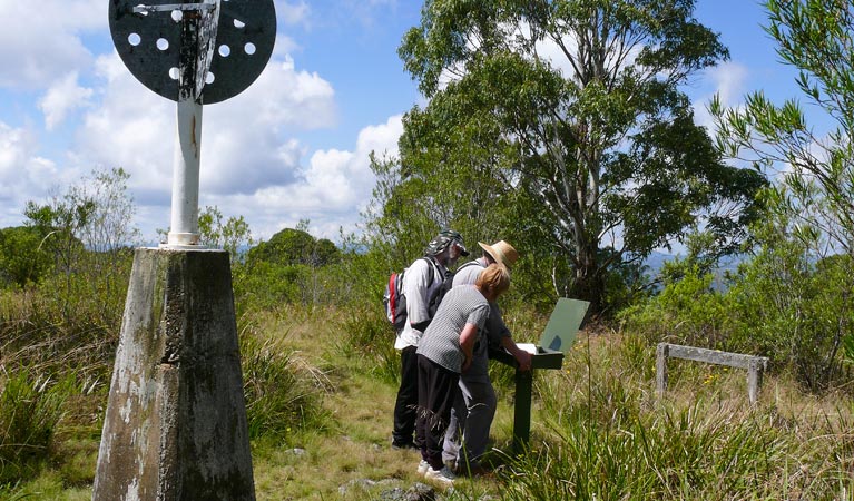 Summit walking track, Mount Hyland Nature Reserve. Photo &copy; Helen Clark