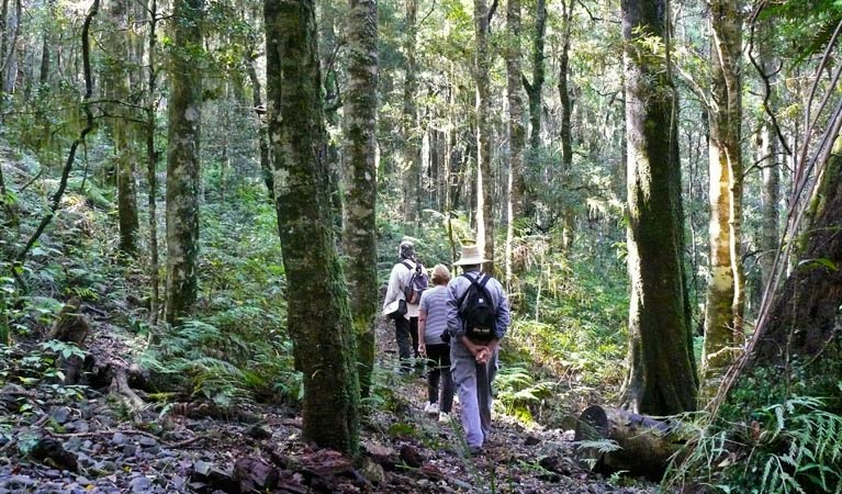 Summit walking track, Mount Hyland Nature Reserve. Photo &copy; Helen Clark