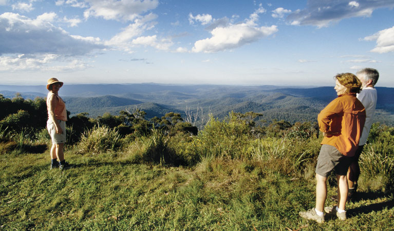 Vista Point picnic area, Mount Hyland Nature Reserve. Photo: Tony Karacsonyi