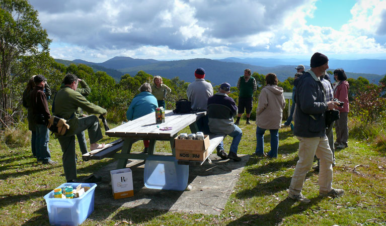 Vista Point picnic area, Mount Hyland Nature Reserve. Photo: A Petschack