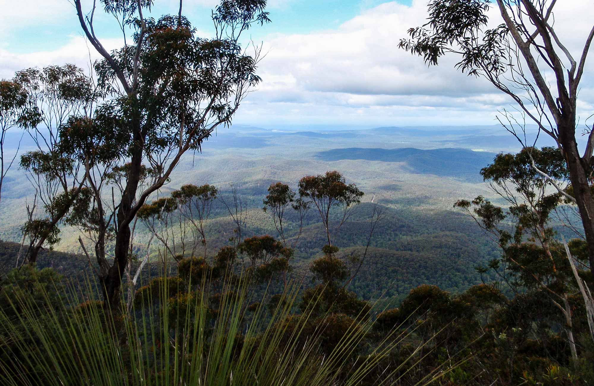 Mount Imlay National Park. Photo: NSW Government