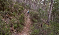 Mount Imlay National Park. Photo: NSW Government