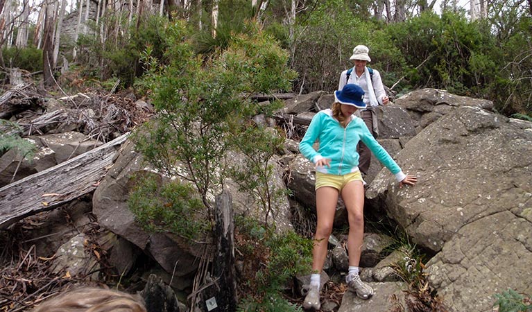 Mount Imlay National Park. Photo: NSW Government