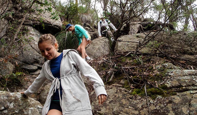 Mount Imlay National Park. Photo: NSW Government