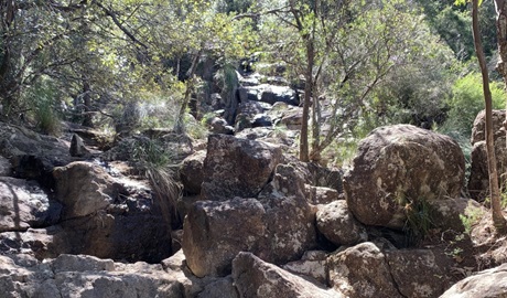 Rocks and trees at Boogarem Falls in Mount Jerusalem National Park. Photo: Darren McHugh &copy; DPIE