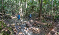 2 bushwalkers on Unicorn Falls walking track. Credit: John Spencer &copy; DPE 