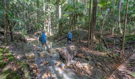 2 bushwalkers on Unicorn Falls walking track. Credit: John Spencer &copy; DPE 