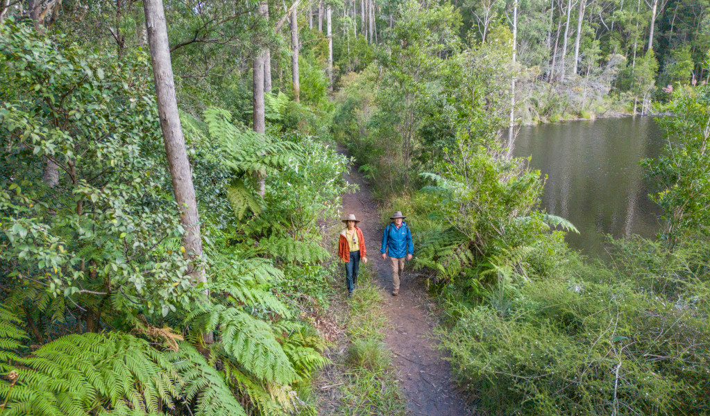 2 bushwalkers on Rayners walking track in Mount Jerusalem National Park. Credit: John Spencer &copy; DPE 