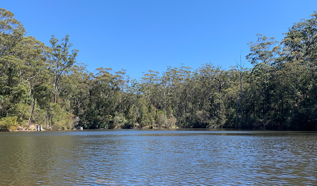 Rayners Dam in Mount Jerusalem National Park. Photo credit: Darren McHugh &copy; DPIE