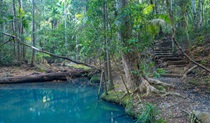 Unicorn Falls walking track, Mount Jerusalem National Park. Photo: Dean Trezise &copy; Dean Trezise