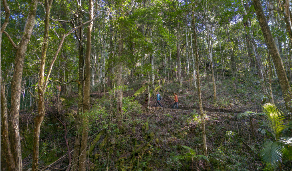 2 bushwalkers on Unicorn Falls walking track, Mount Jerusalem National Park. Credit: John Spencer &copy; DPE 