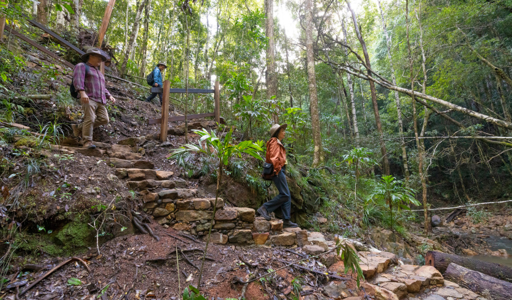 Bushwalkers on Unicorn Falls walking track, Mount Jerusalem National Park. Credit: John Spencer &copy; DPE 