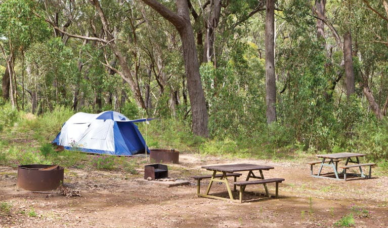 Tents in Bark Hut campground. Photo: Rob Cleary Copyright: Seen Australia