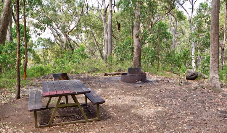 Bark Hut Campground, Mount Kaputar National Park. Photo &copy; Rob Cleary