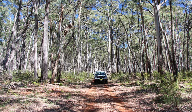 The Barraba track 