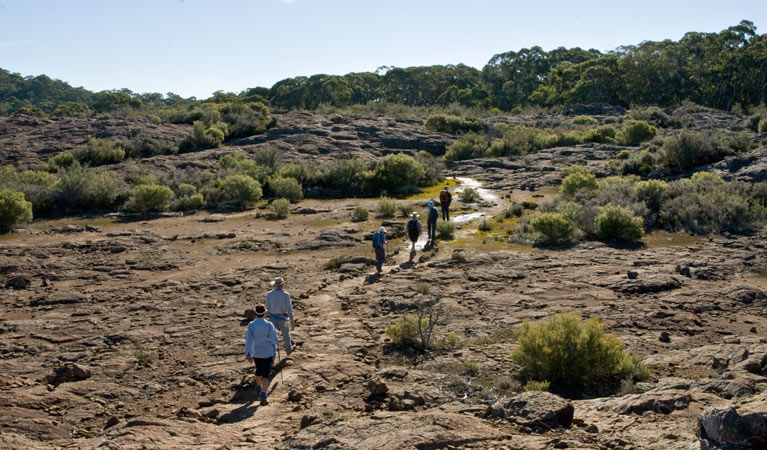 Bundabulla circuit walking track, Mount Kaputar National Park. Photo: Boris Hlavica