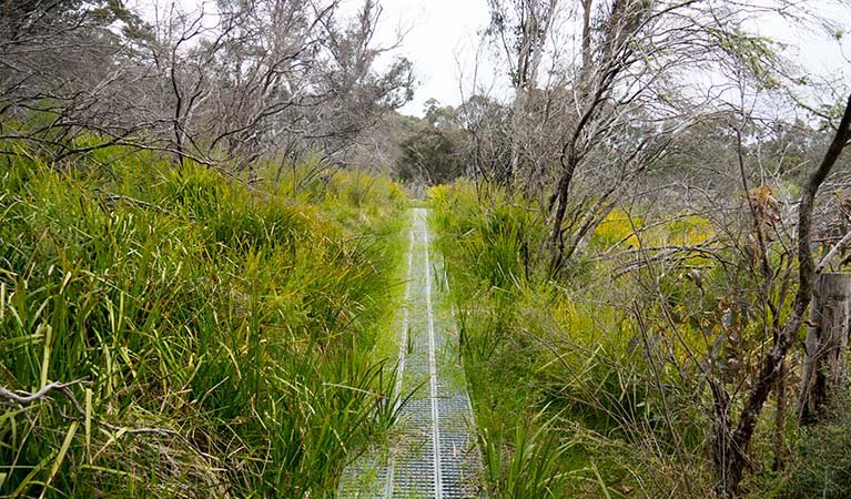 Bundabulla circuit walking track, Mount Kaputar National Park. Photo credit: Leah Pippos &copy; DPIE