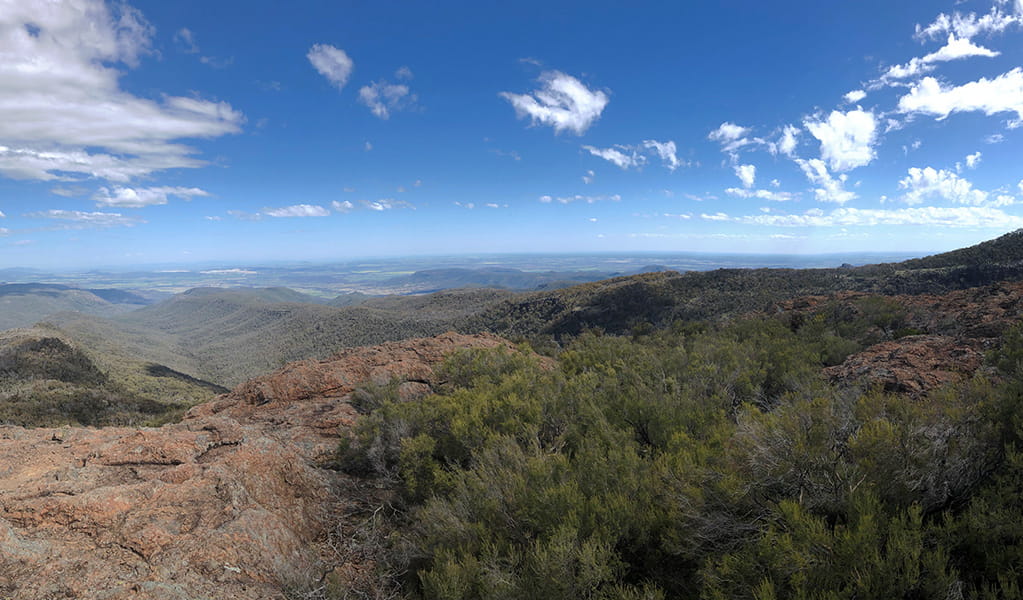 Panoramic view of bushland, ridges and distant valleys from Bundabulla lookout. Photo &copy; Jessica Stokes