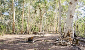 Dawsons Spring campground, Mount Kaputar National Park. Photo: Simone Cottrell/OEH