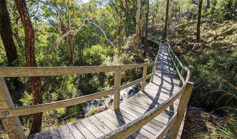 Wooden raised walkway that starts from Dawsons Springs campground. Photo: Simone Cottrell/OEH