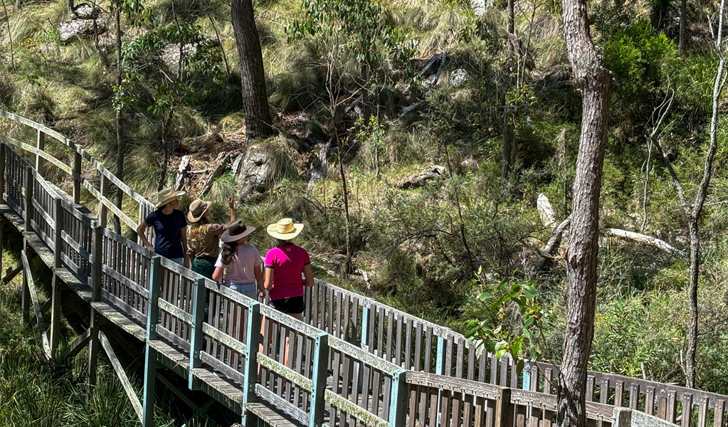 People crossing a bridge on Dawsons Spring nature trail, Mount Kaputur National Park. Photo: Rochelle Eather &copy; DCCEEW