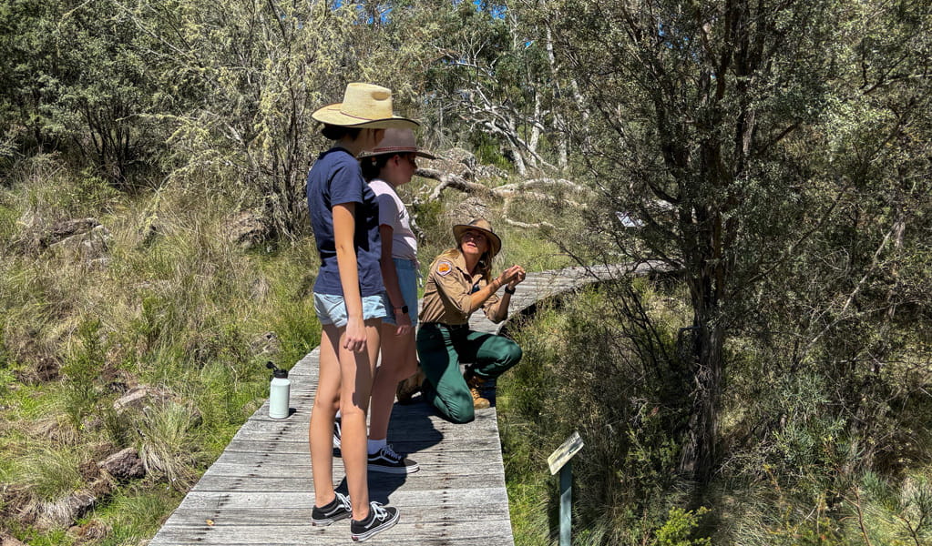 A ranger shares interesting facts about Dawsons Spring Nature Trail, Mount Kaputar National Park, with onlookers. Photo: Rochelle Eather &copy; DCCEEW
