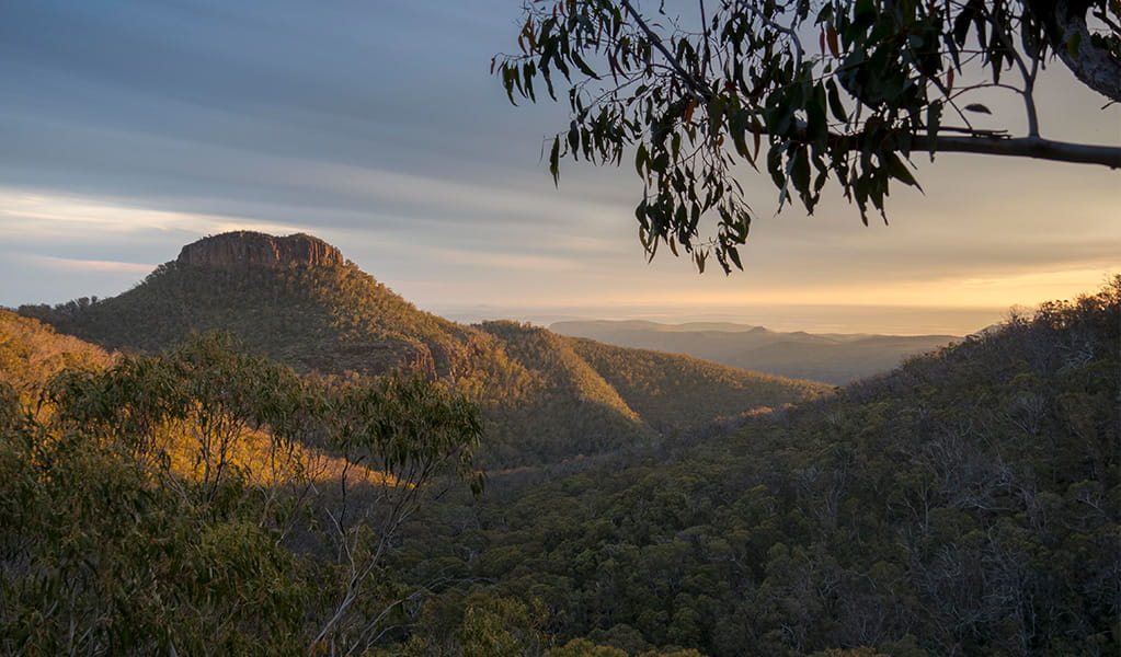 The view from Euglah Rock lookout, overlooking a valley and Euglah Rock. Photo credit: Leah Pippos &copy; DPIE