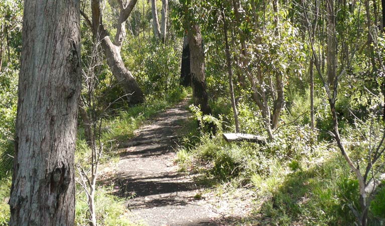 Euglah Rock walking track, Mount Kaputar National Park. Photo &copy; Jessica Stokes