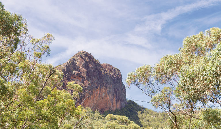 Green Camp, Mount Kaputar National Park. Photo &copy; Rob Cleary