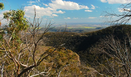 View from Horsearm lookout past tree branches to valleys, ridges and distant plains. Photo &copy; Jessica Stokes