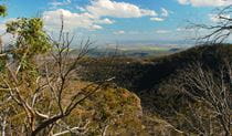 View from Horsearm lookout past tree branches to valleys, ridges and distant plains. Photo &copy; Jessica Stokes