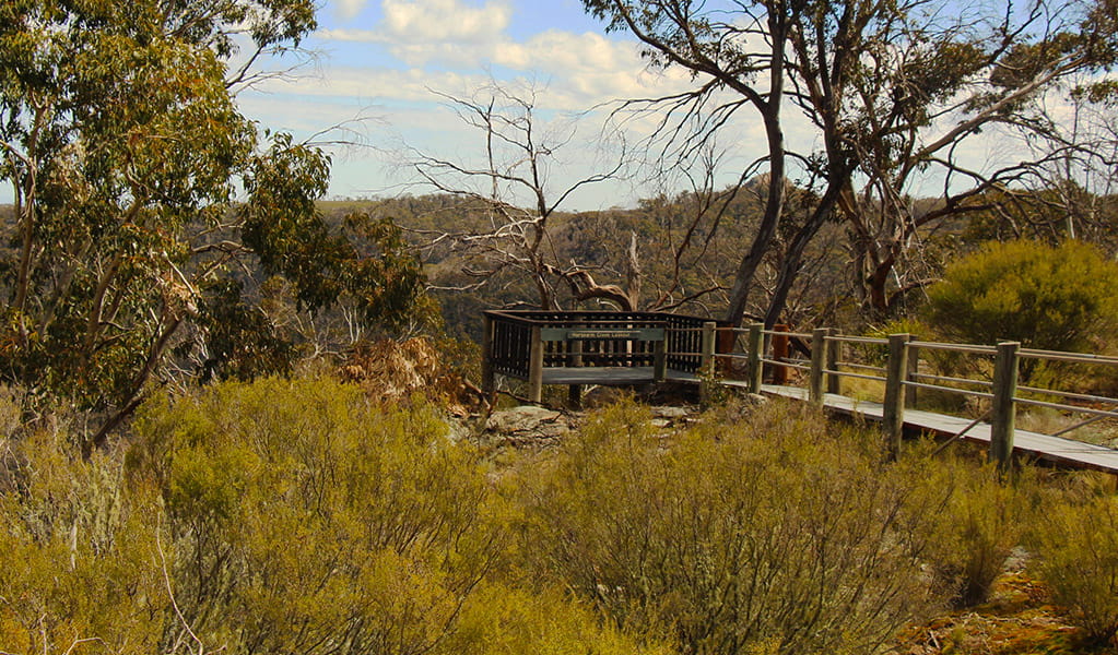 View of walkway and viewing platform for Horsearm lookout surrounded by bushland. Photo &copy; Jessica Stokes