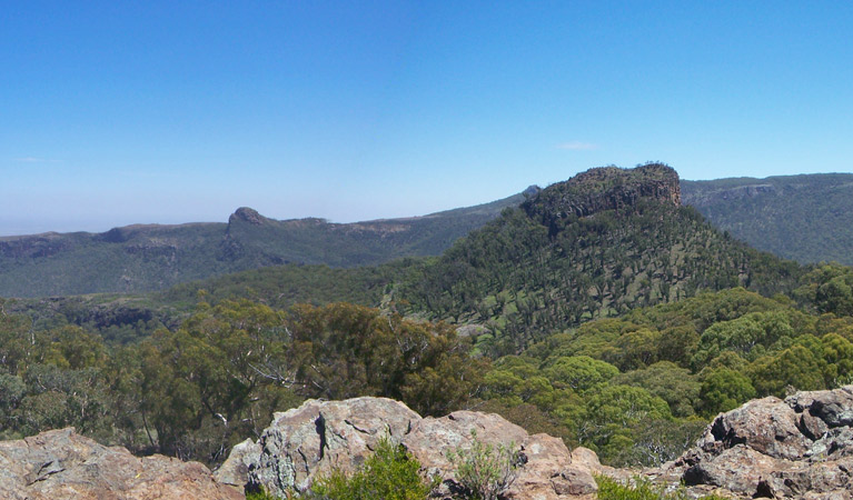 Kaputar Plateau walk, Mount Kaputar National Park. Photo &copy; Jessica Stokes