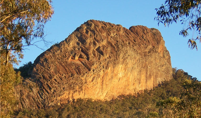 Kaputar scenic drive, Mount Kaputar National Park. Photo: Jessica Stokes