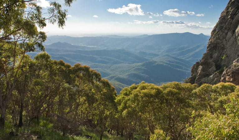 View from West Kaputar lookout, Mount Kaputar National Park. Photo: Jessica Stokes