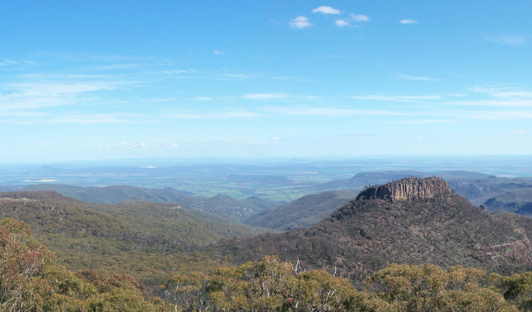 Kaputar scenic drive, Mount Kaputar National Park. Photo: Jessica Stokes