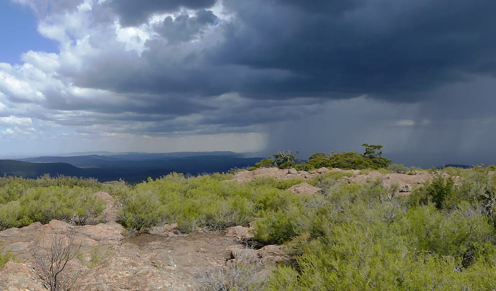  View of approaching storm across bushland and beyond to distant mountains and valleys in Mount Kaputar National Park. Photo &copy; Fiona Gray