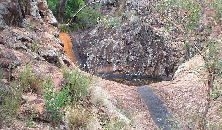 Mill-bullah walking track, Mount Kaputar National Park. Photo &copy; Jessica Stokes