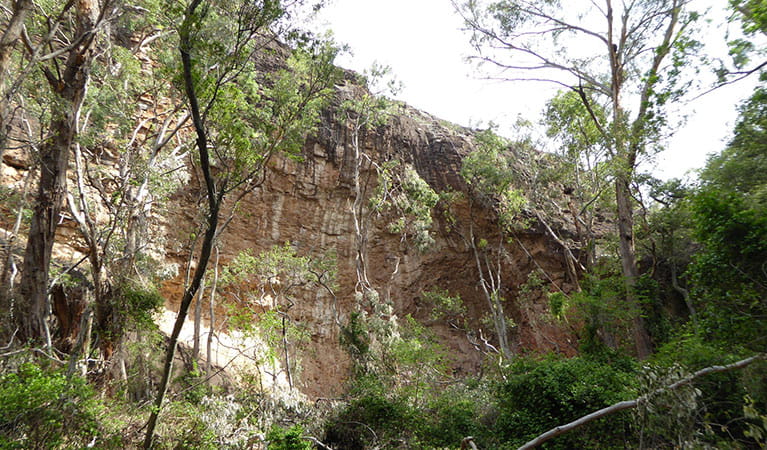 Waa Gorge in Mount Kaputar National Park. Photo: Fiona Gray &copy; Fiona Gray