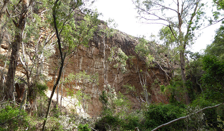 Mill-bullah walking track | NSW National Parks